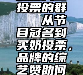 微信人工投票的群   从节目冠名到买奶投票，品牌的综艺赞助何时变了味