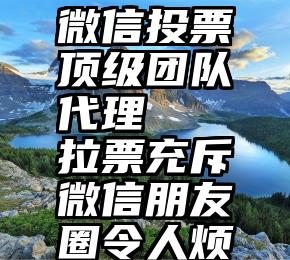 微信投票顶级团队代理   拉票充斥微信朋友圈令人烦