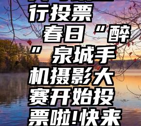 有什么工具可以进行投票   春日“醉”泉城手机摄影大赛开始投票啦!快来看看你入选了没