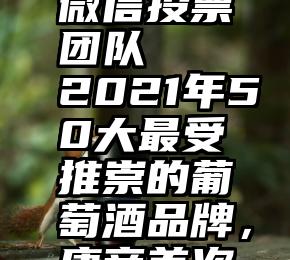 青海人工微信投票团队   2021年50大最受推崇的葡萄酒品牌，康帝首次上榜