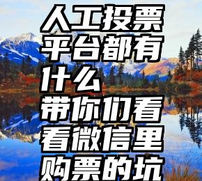 人工投票平台都有什么   带你们看看微信里购票的坑