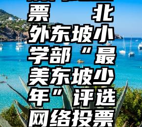 刷网站投票   北外东坡小学部“最美东坡少年”评选网络投票开始啦!