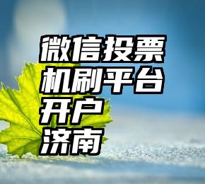 微信投票机刷平台开户   济南