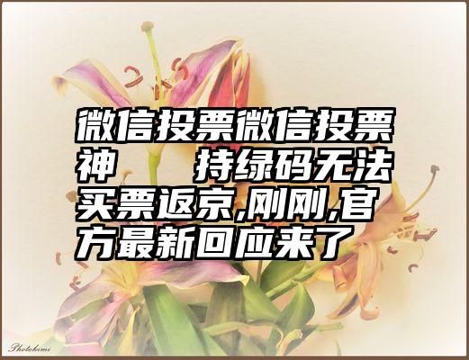 微信投票微信投票神   持绿码无法买票返京,刚刚,官方最新回应来了