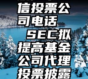 濮阳市微信投票公司电话   SEC拟提高基金公司代理投票披露要求