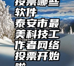 投票哪些软件   泰安市最美科技工作者网络投票开始啦