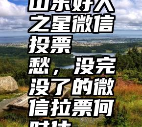 山东好人之星微信投票   愁，没完没了的微信拉票何时休