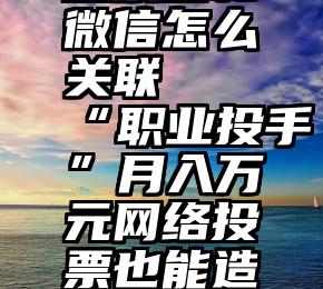 投票吧和微信怎么关联   “职业投手”月入万元网络投票也能造高薪职业!