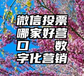 微信投票哪家好营口   数字化营销