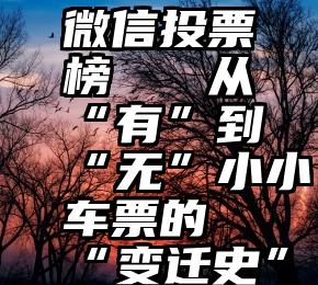 微信投票榜   从“有”到“无”小小车票的“变迁史”