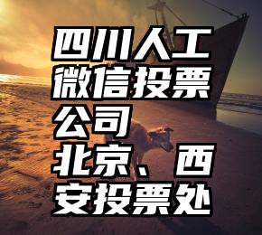 四川人工微信投票公司   北京、西安投票处