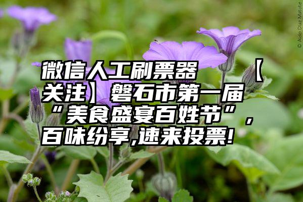 微信人工刷票器   【关注】磐石市第一届“美食盛宴百姓节”,百味纷享,速来投票!