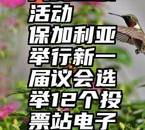 微信摄影大赛投票活动   保加利亚举行新一届议会选举12个投票站电子投票机出现故障