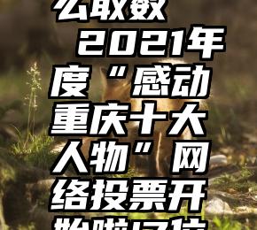 微信公众号投票怎么取数   2021年度“感动重庆十大人物”网络投票开始啦!7位女性等你来点赞