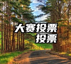 大赛投票   投票