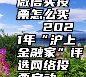 微信买投票怎么买   2021年“沪上金融家”评选网络投票启动