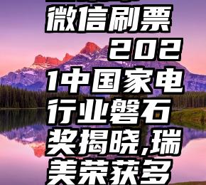 芒果冰 微信刷票   2021中国家电行业磐石奖揭晓,瑞美荣获多项大奖