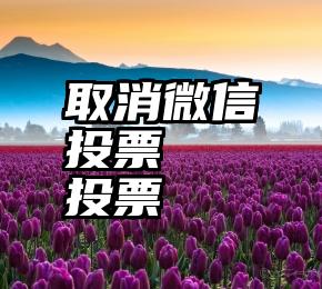 取消微信投票   投票