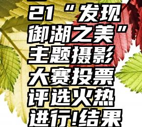 微信投票比浏览数多   2021“发现御湖之美”主题摄影大赛投票评选火热进行!结果即将揭晓,还不快来投票!