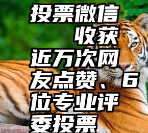 投票微信   收获近万次网友点赞、6位专业评委投票