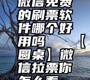 微信免费的刷票软件哪个好用吗   【圆桌】微信拉票你怎么看