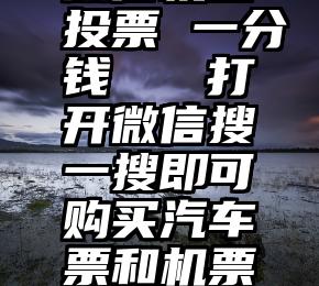 微信机器投票 一分钱   打开微信搜一搜即可购买汽车票和机票了