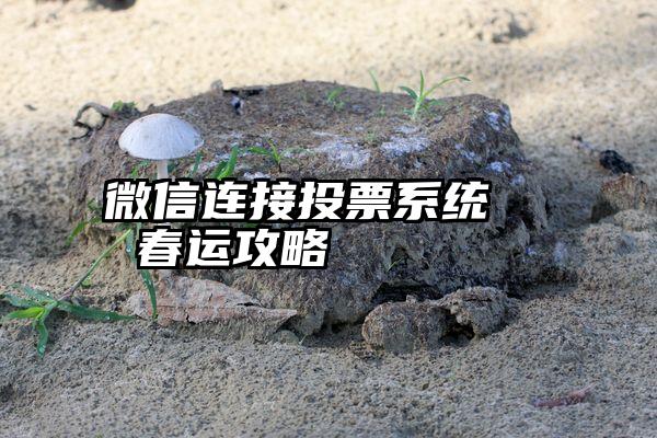 微信连接投票系统   春运攻略