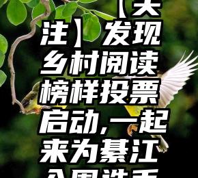 微信版本   【关注】发现乡村阅读榜样投票启动,一起来为綦江入围选手打call!