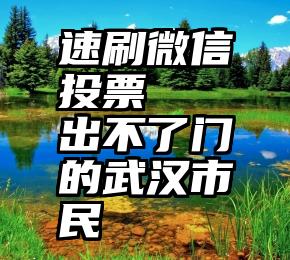 速刷微信投票   出不了门的武汉市民