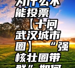 我的微信为什么不能投票   【十问武汉城市圈】①“强核壮圈带群”如何实现