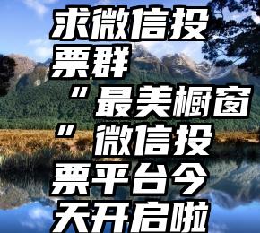 求微信投票群   “最美橱窗”微信投票平台今天开启啦