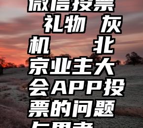 微信投票 礼物 灰机   北京业主大会APP投票的问题与思考