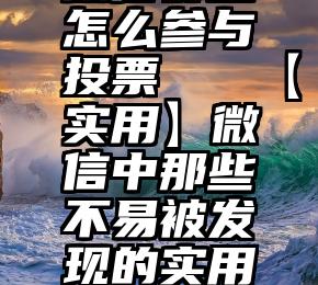 微信群里怎么参与投票   【实用】微信中那些不易被发现的实用小功能