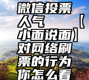 微信投票人气   【小面说面】对网络刷票的行为你怎么看