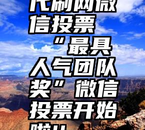 代刷网微信投票   “最具人气团队奖”微信投票开始啦!!