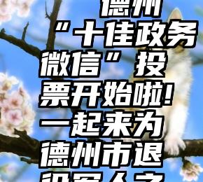 微信互动实时投票   德州“十佳政务微信”投票开始啦!一起来为德州市退役军人之家投上宝贵一票吧!