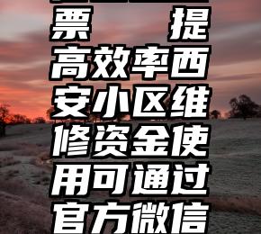 怎样去微信圈里投票   提高效率西安小区维修资金使用可通过官方微信公众号投票表决