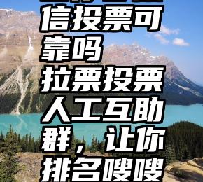 圆你梦微信投票可靠吗   拉票投票人工互助群，让你排名嗖嗖往上涨