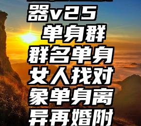 微信投票器v25   单身群群名单身女人找对象单身离异再婚附近交友群