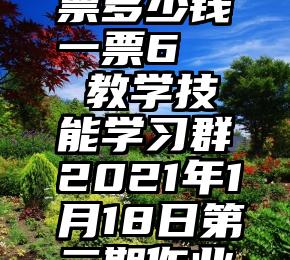 微信刷投票多少钱一票6   教学技能学习群2021年1月18日第二期作业投票