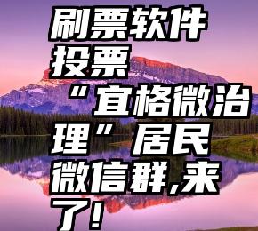 刷票软件投票   “宜格微治理”居民微信群,来了!