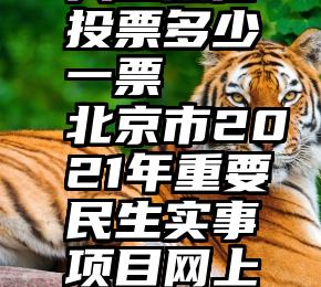 人工微信投票多少一票   北京市2021年重要民生实事项目网上投票