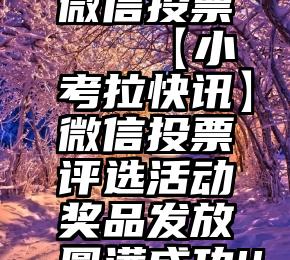 同事孩子微信投票   【小考拉快讯】微信投票评选活动奖品发放圆满成功!!!